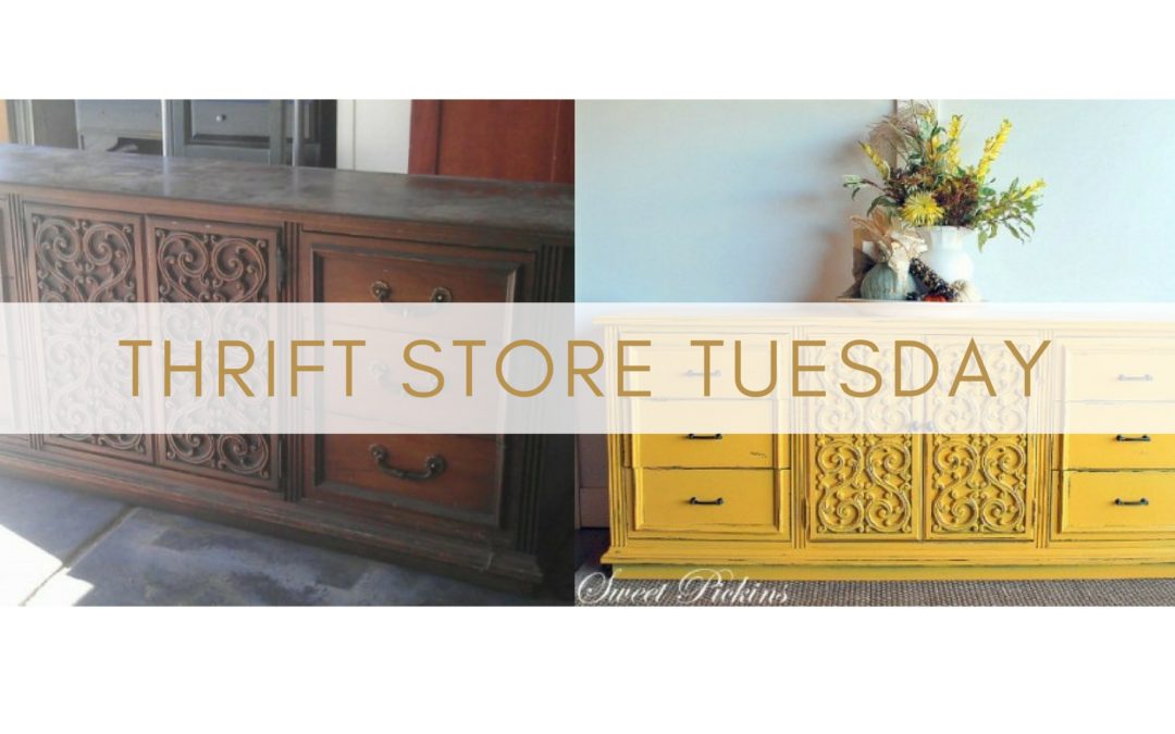 Thrift Store Tuesday Ep 3